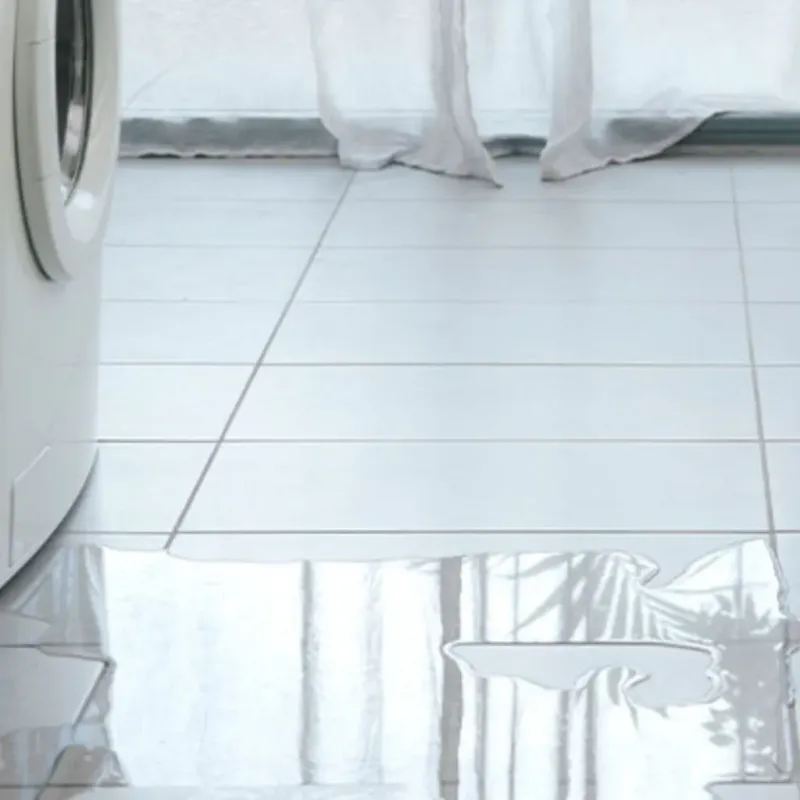 Appliance Leak Cleanup in Carlinville, IL