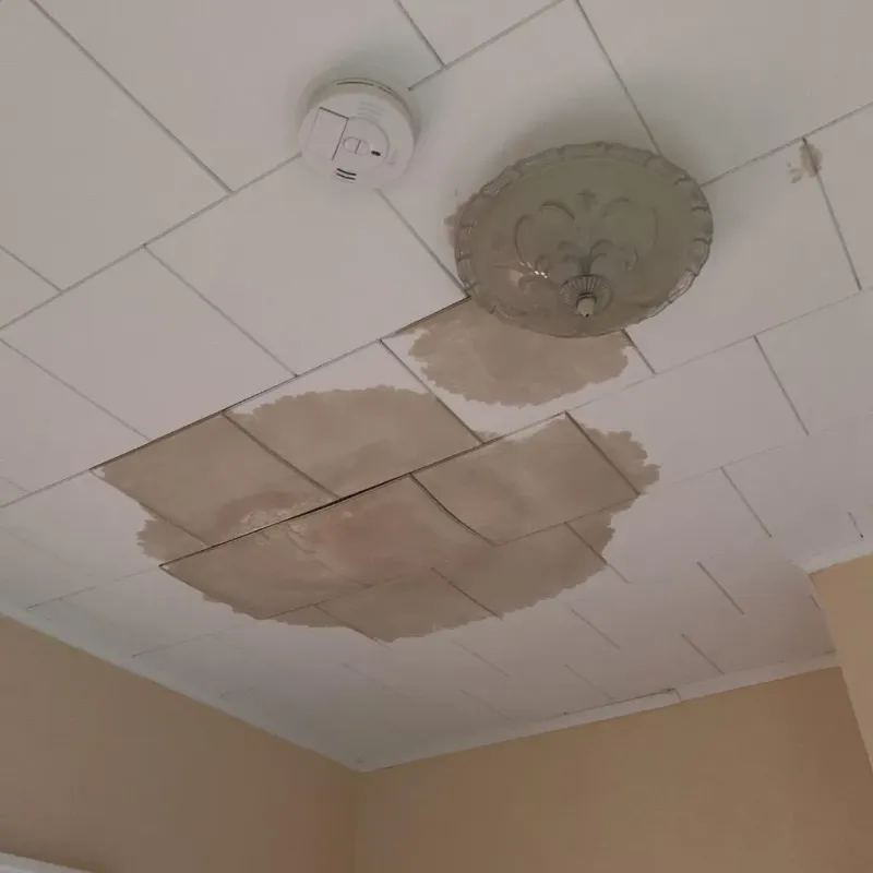 Ceiling Water Damage Repair in Carlinville, IL
