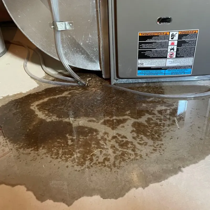 Pipe Burst and Leak Restoration in Carlinville, IL