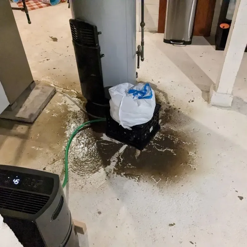 Sewage Backup Cleanup Service in Carlinville, IL